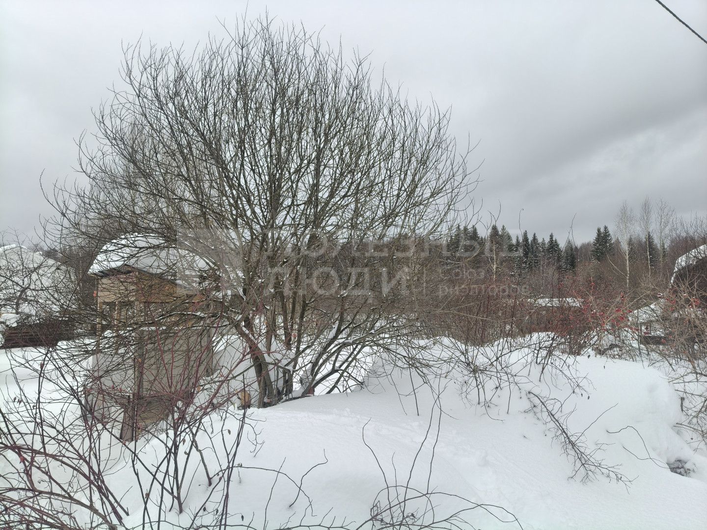 Фото недвижимости