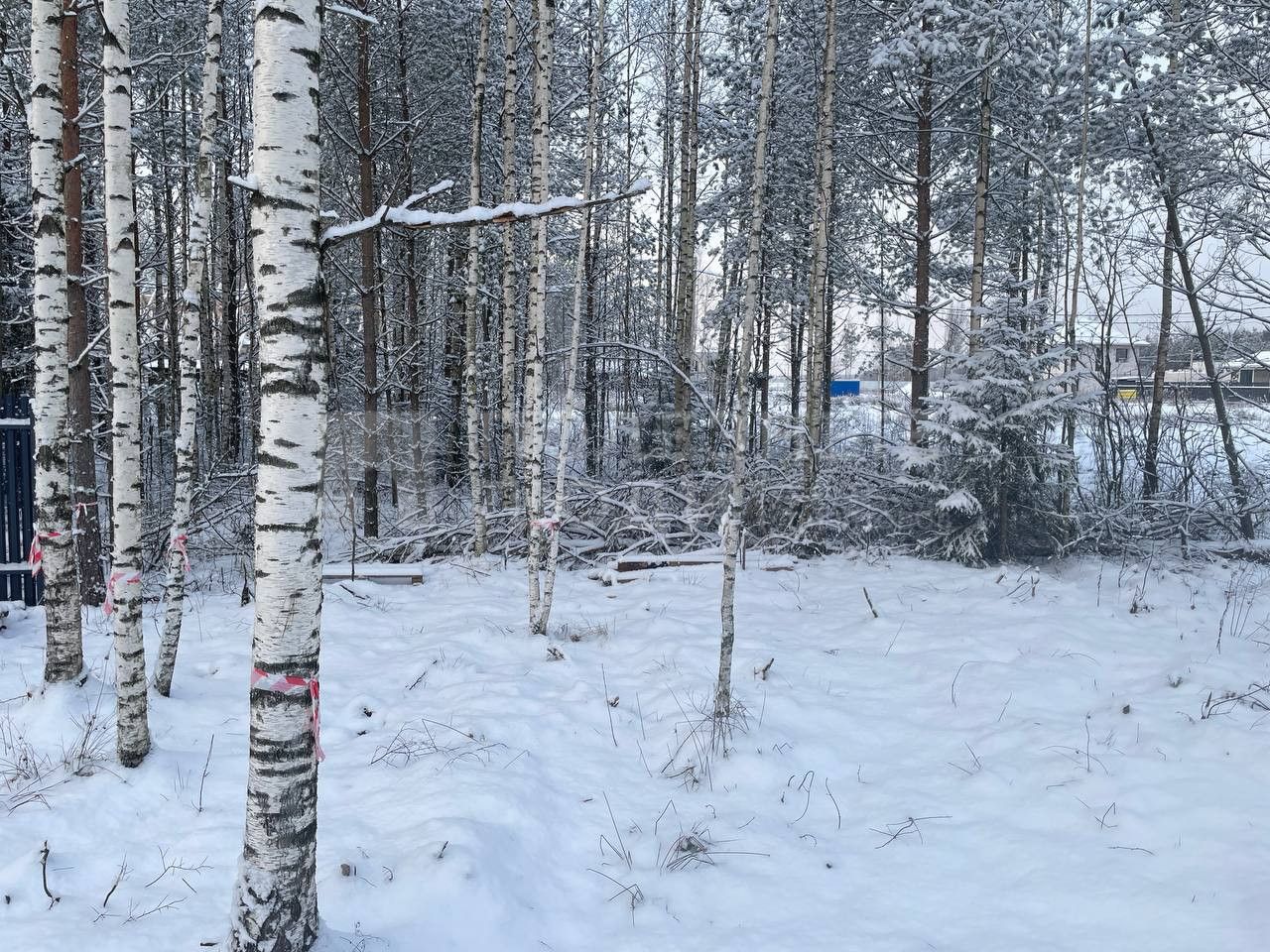 Фото недвижимости