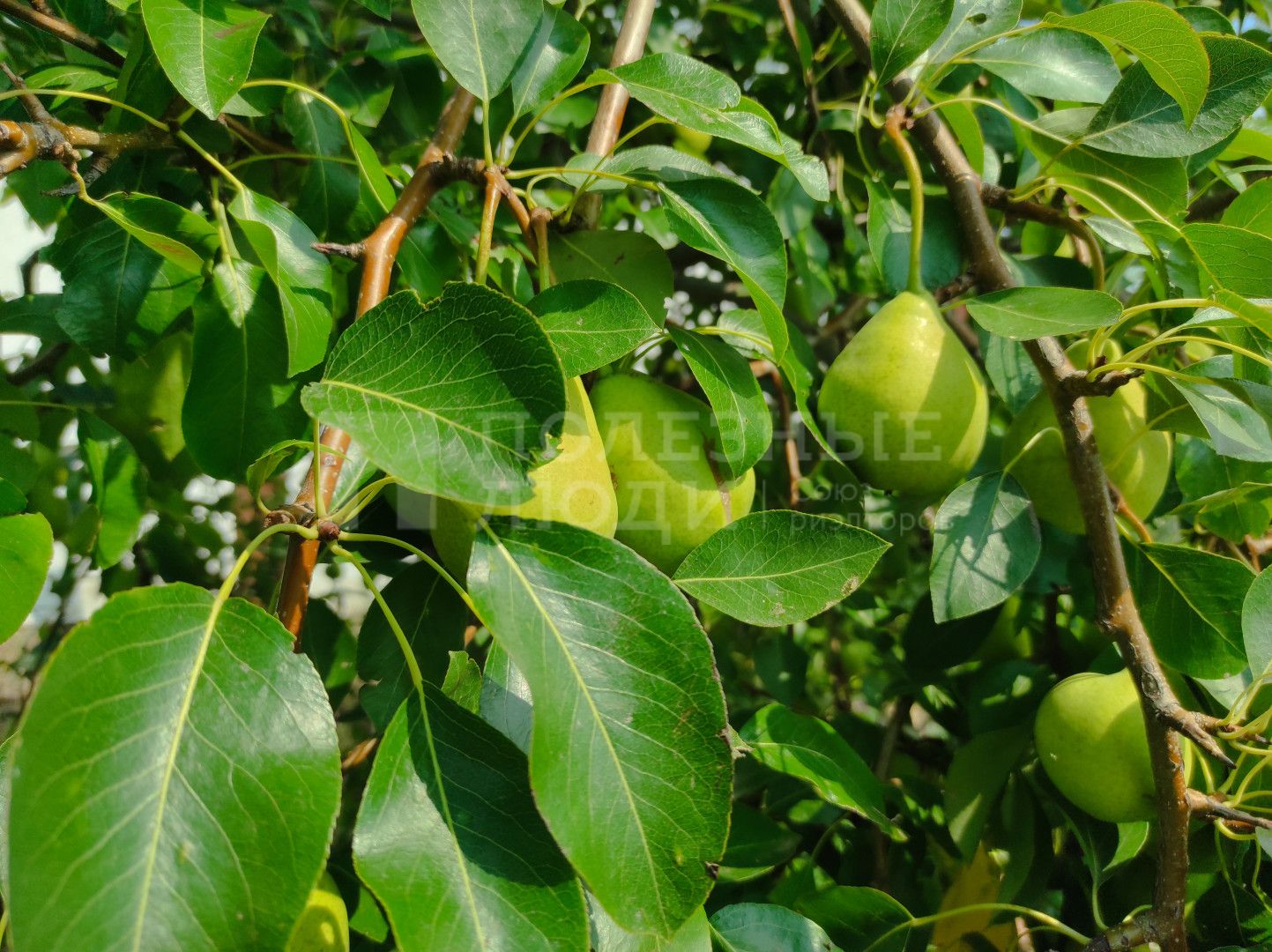 Фото недвижимости