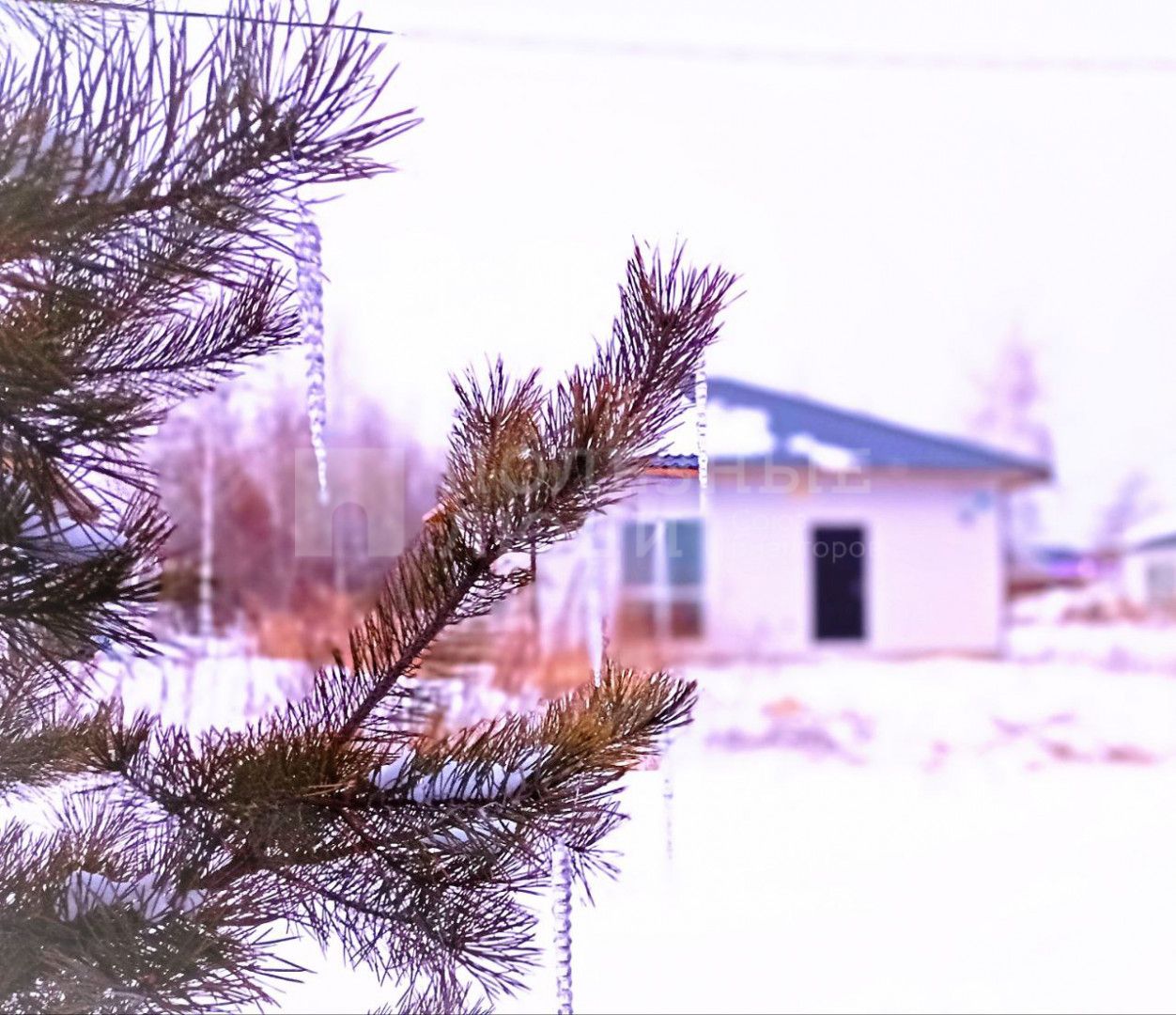 Фото недвижимости