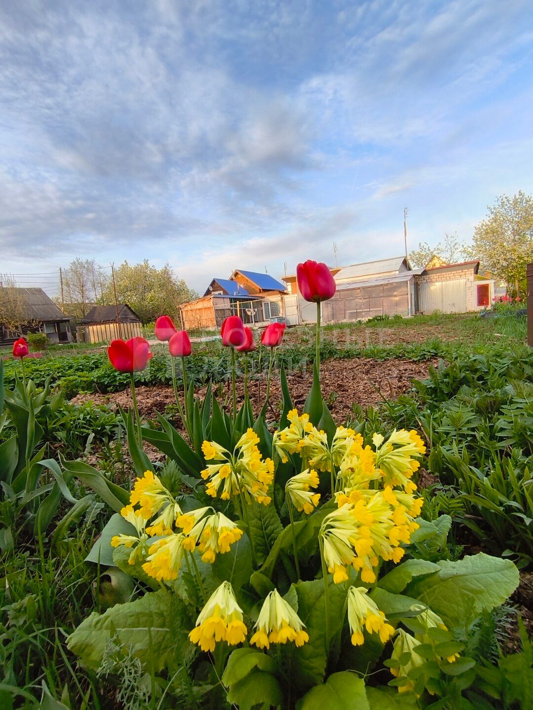 Фото недвижимости