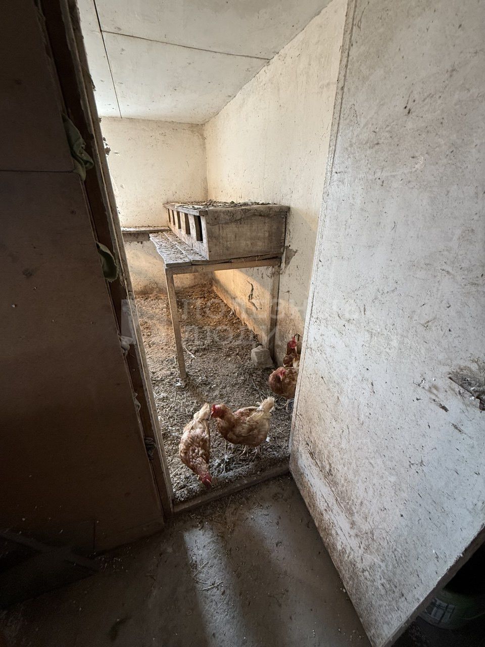 Фото недвижимости