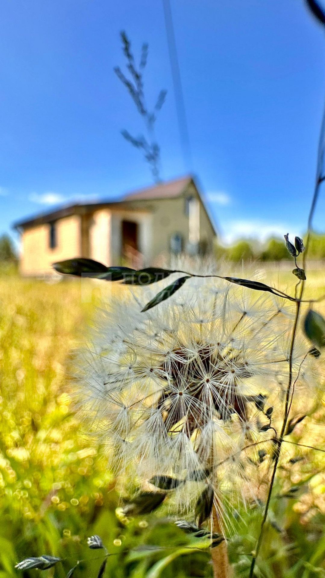 Фото недвижимости