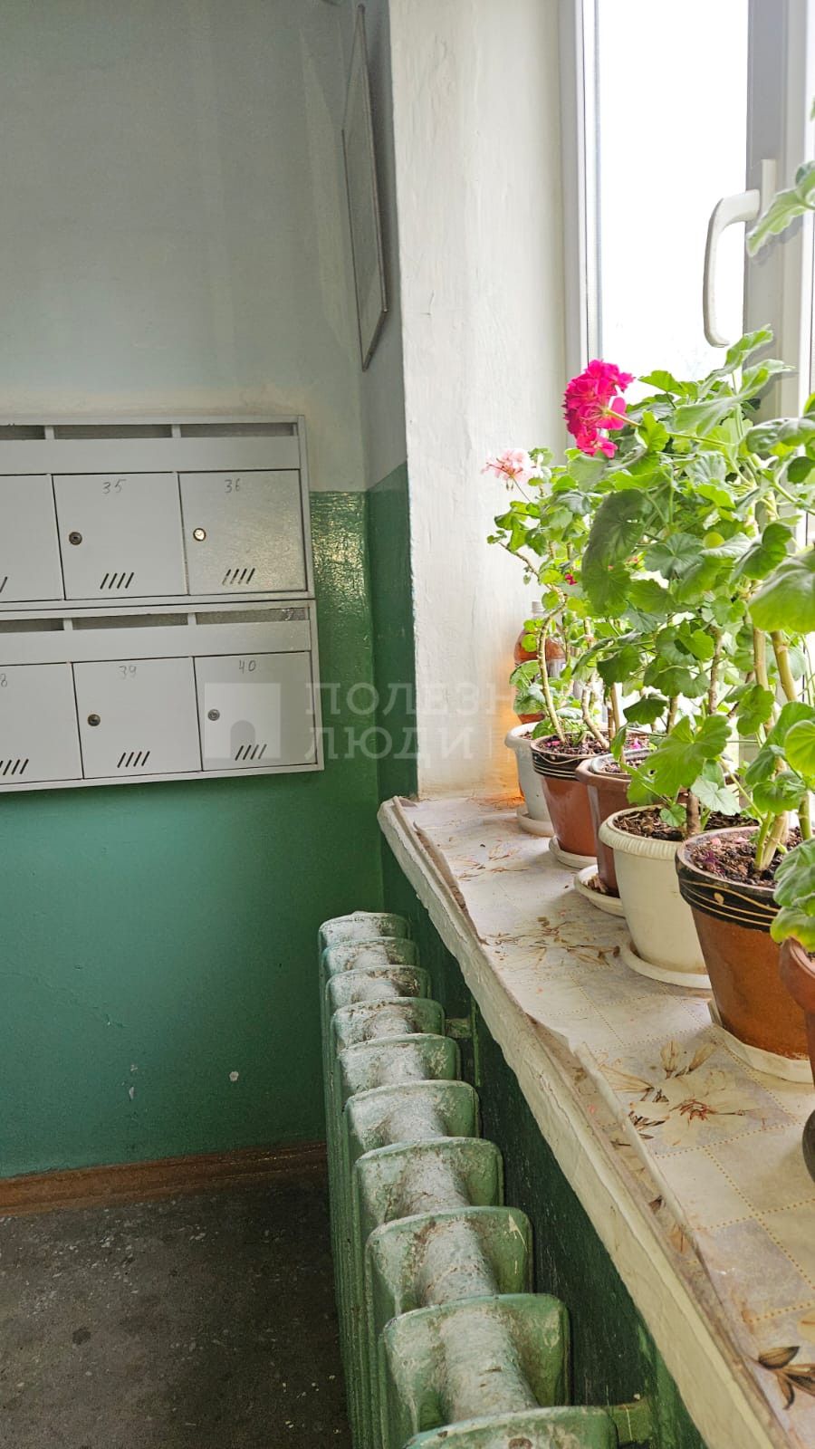 Фото недвижимости