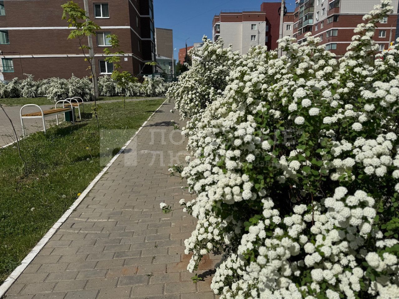 Фото недвижимости