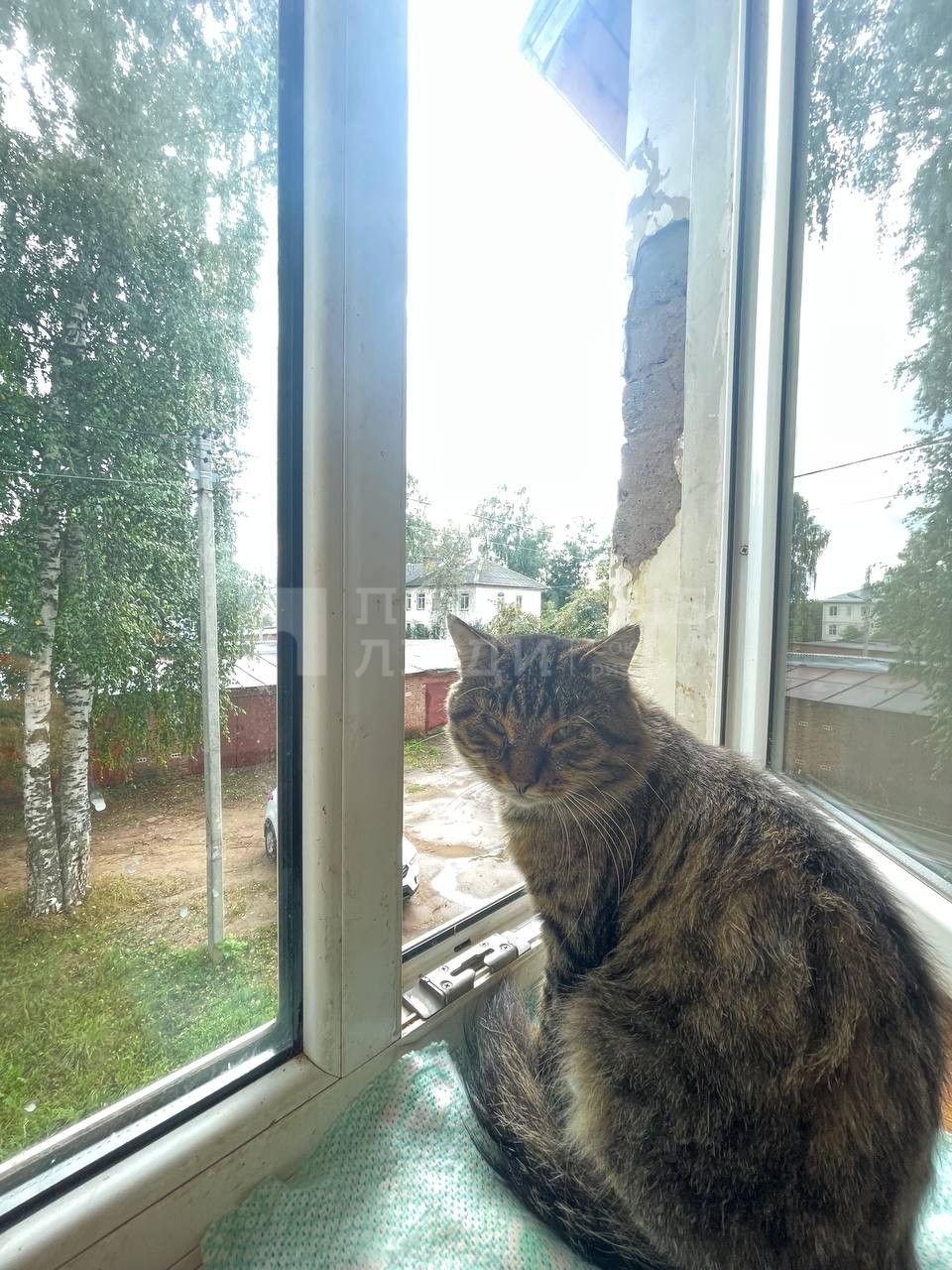 Фото недвижимости