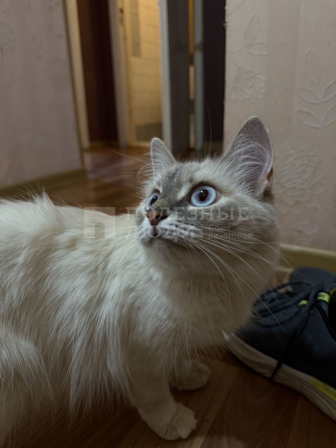 Фото недвижимости