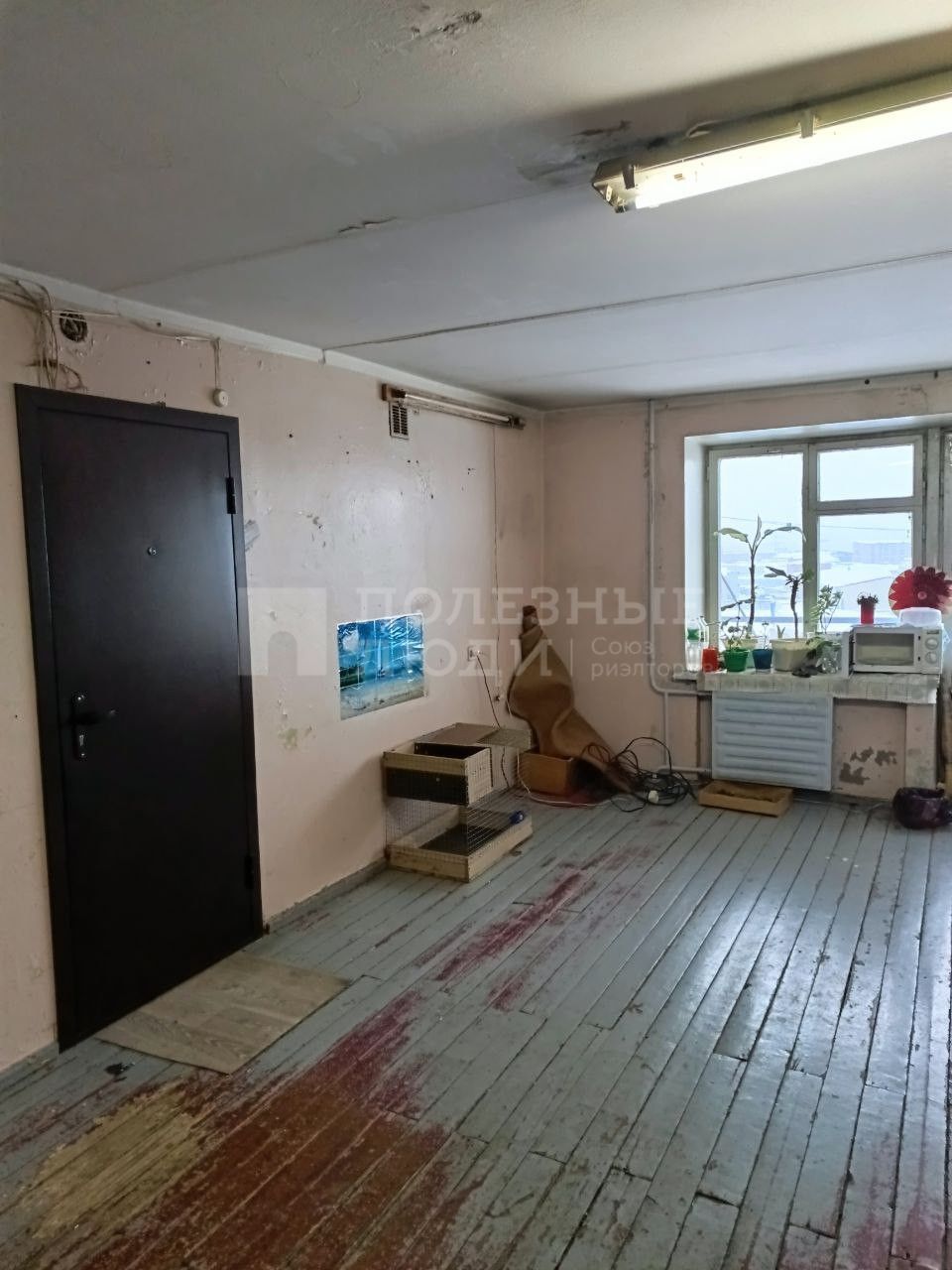 Фото недвижимости