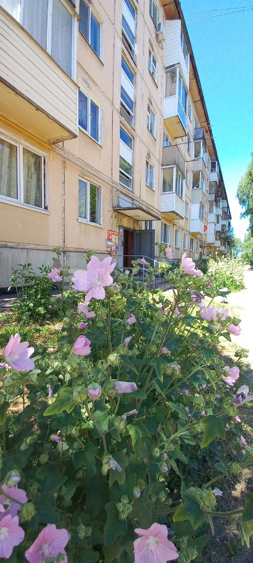 Фото недвижимости