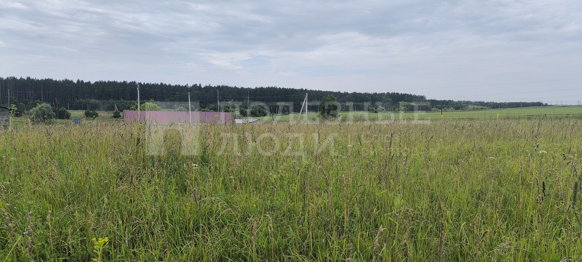 Фото недвижимости