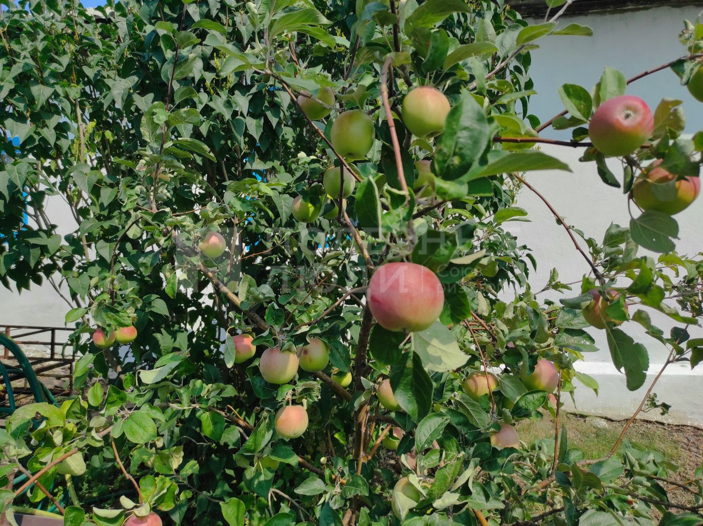 Фото недвижимости