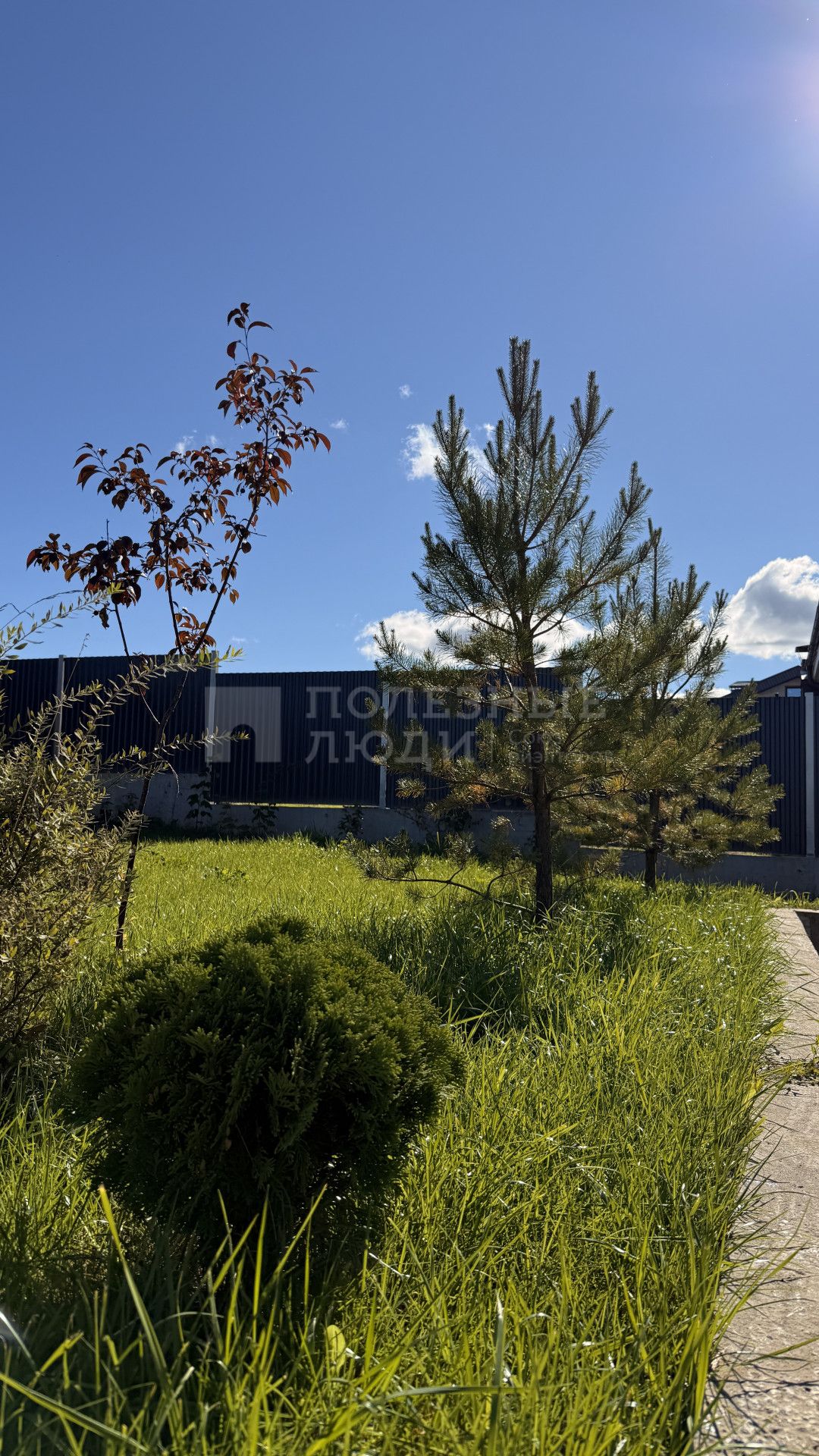 Фото недвижимости