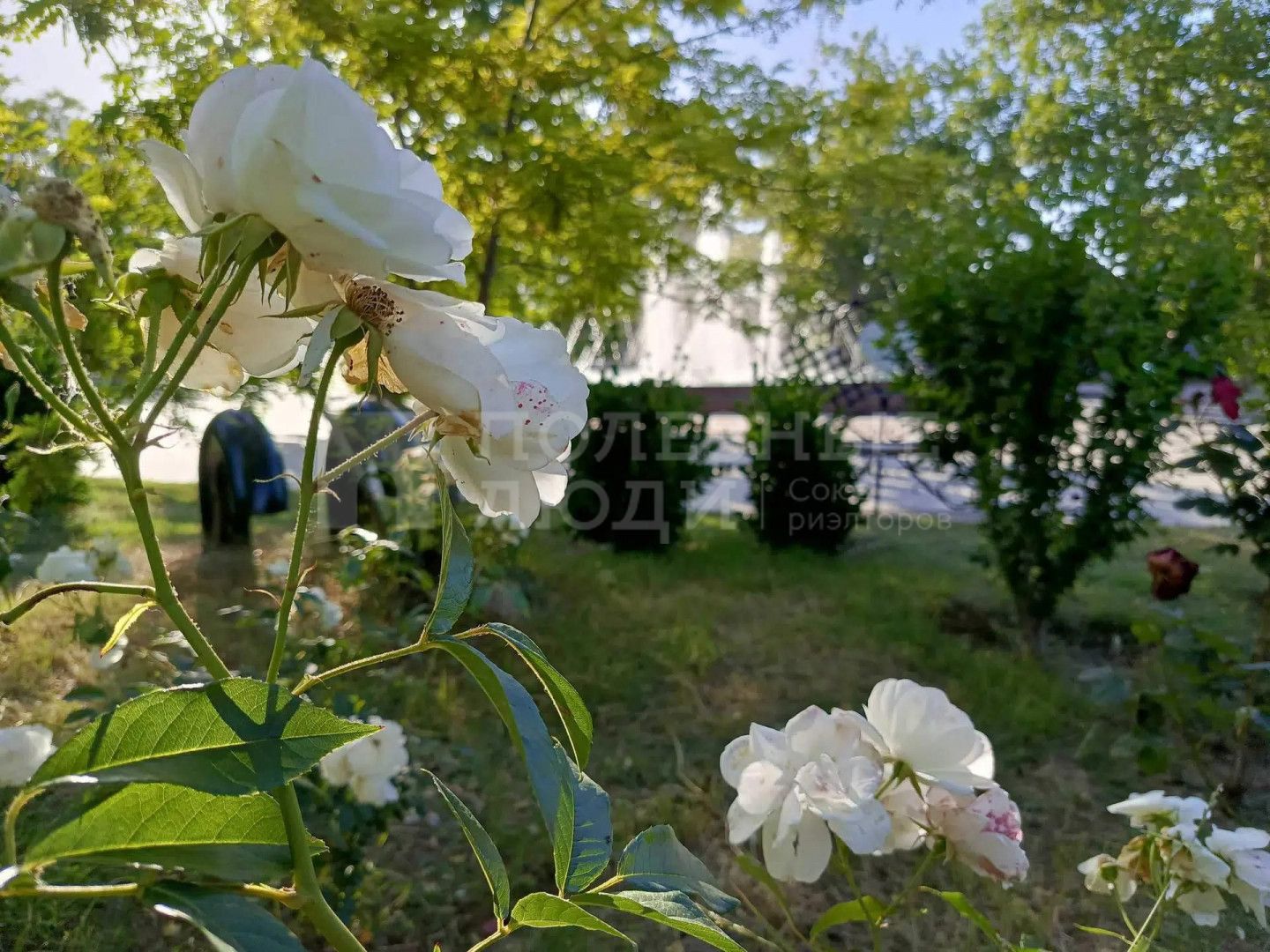 Фото недвижимости