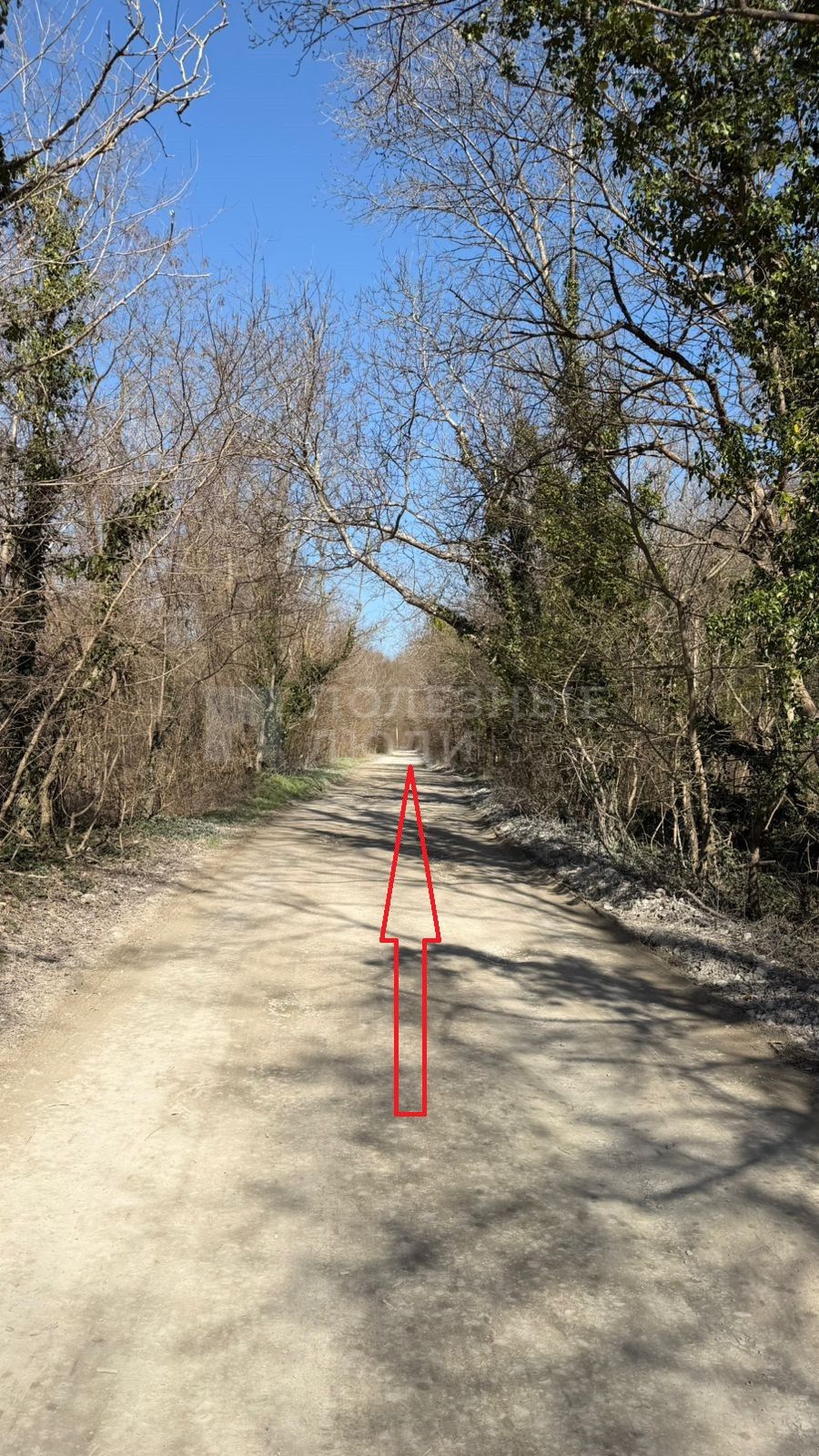 Фото недвижимости