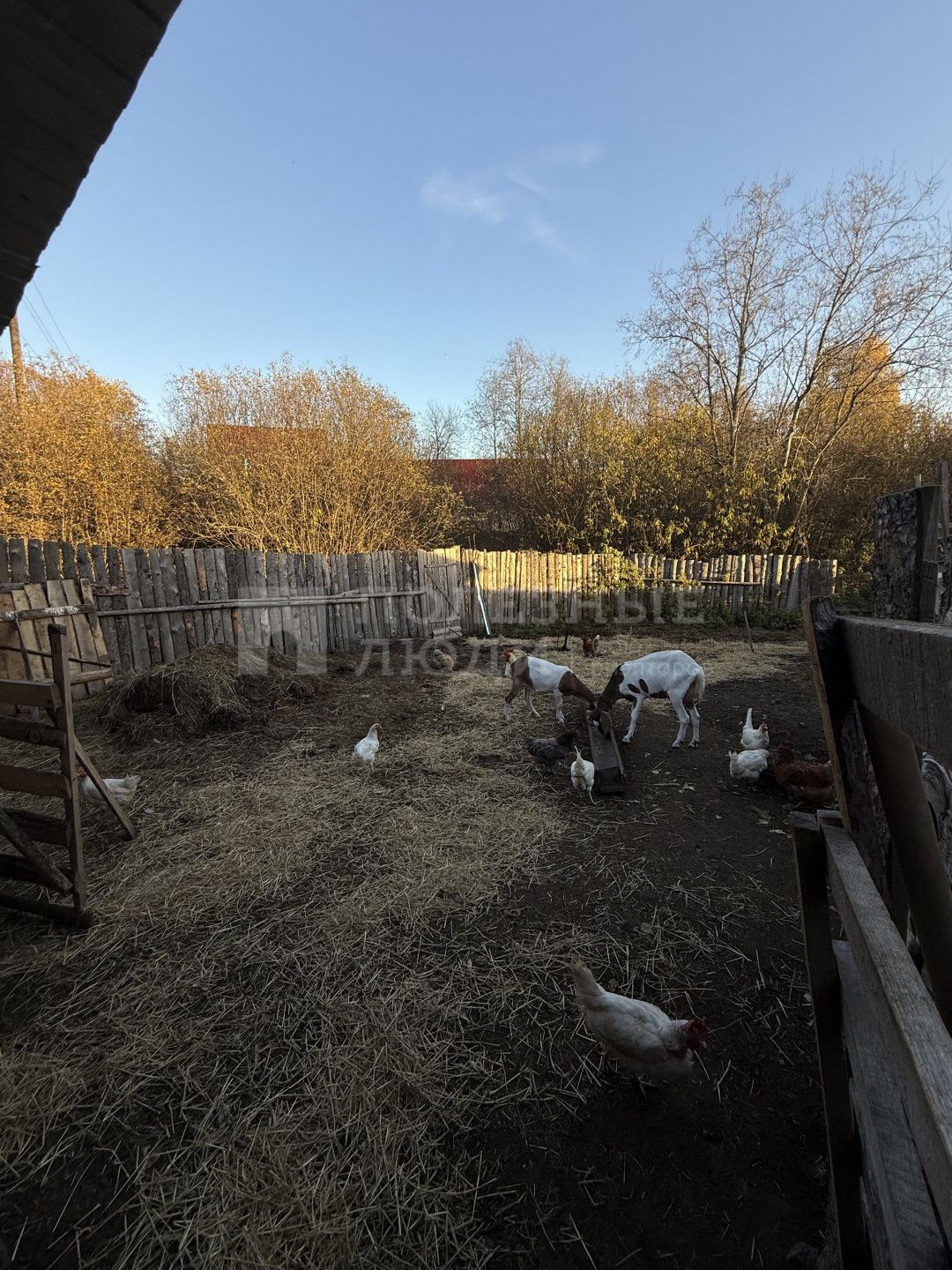 Фото недвижимости