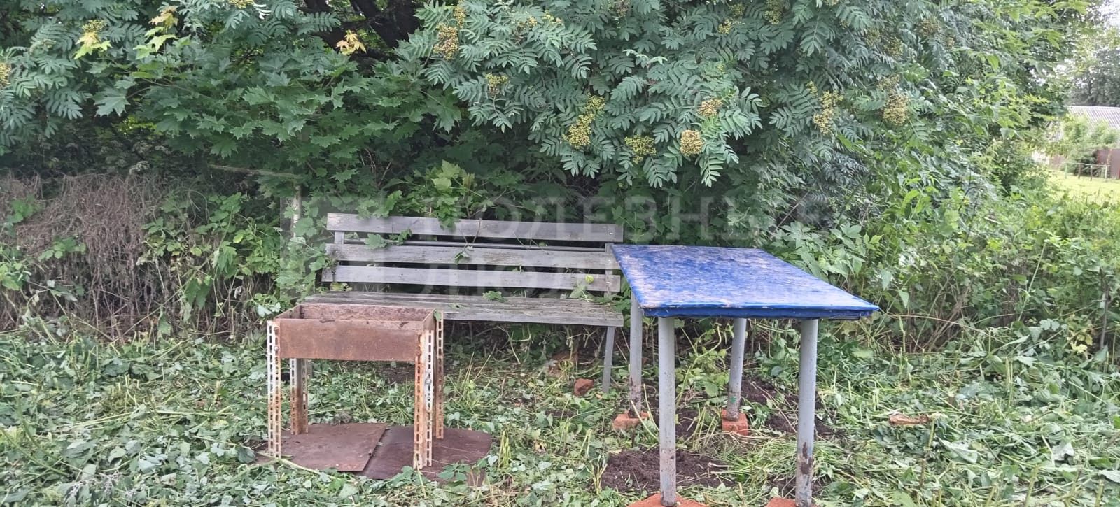 Фото недвижимости