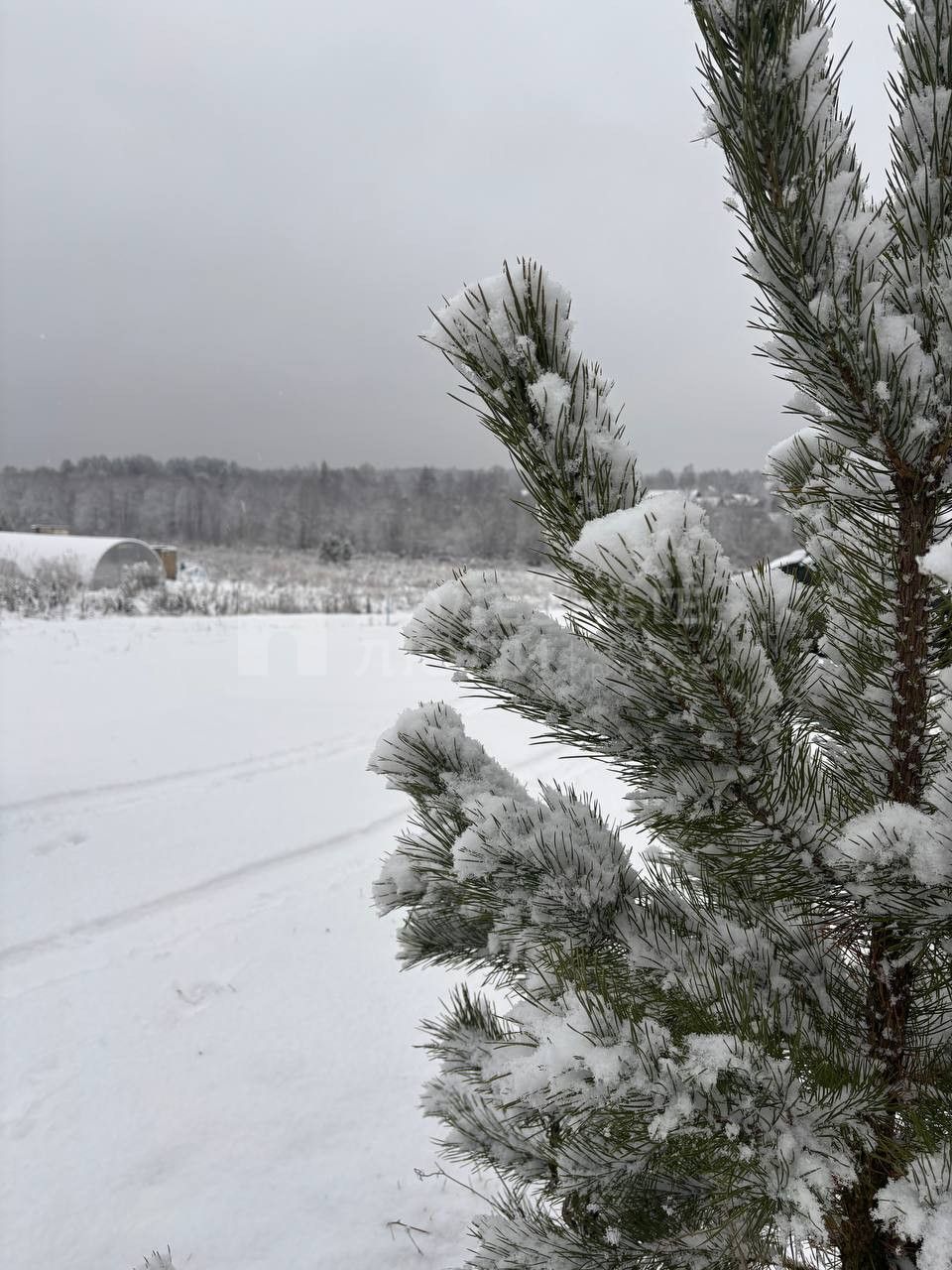 Фото недвижимости