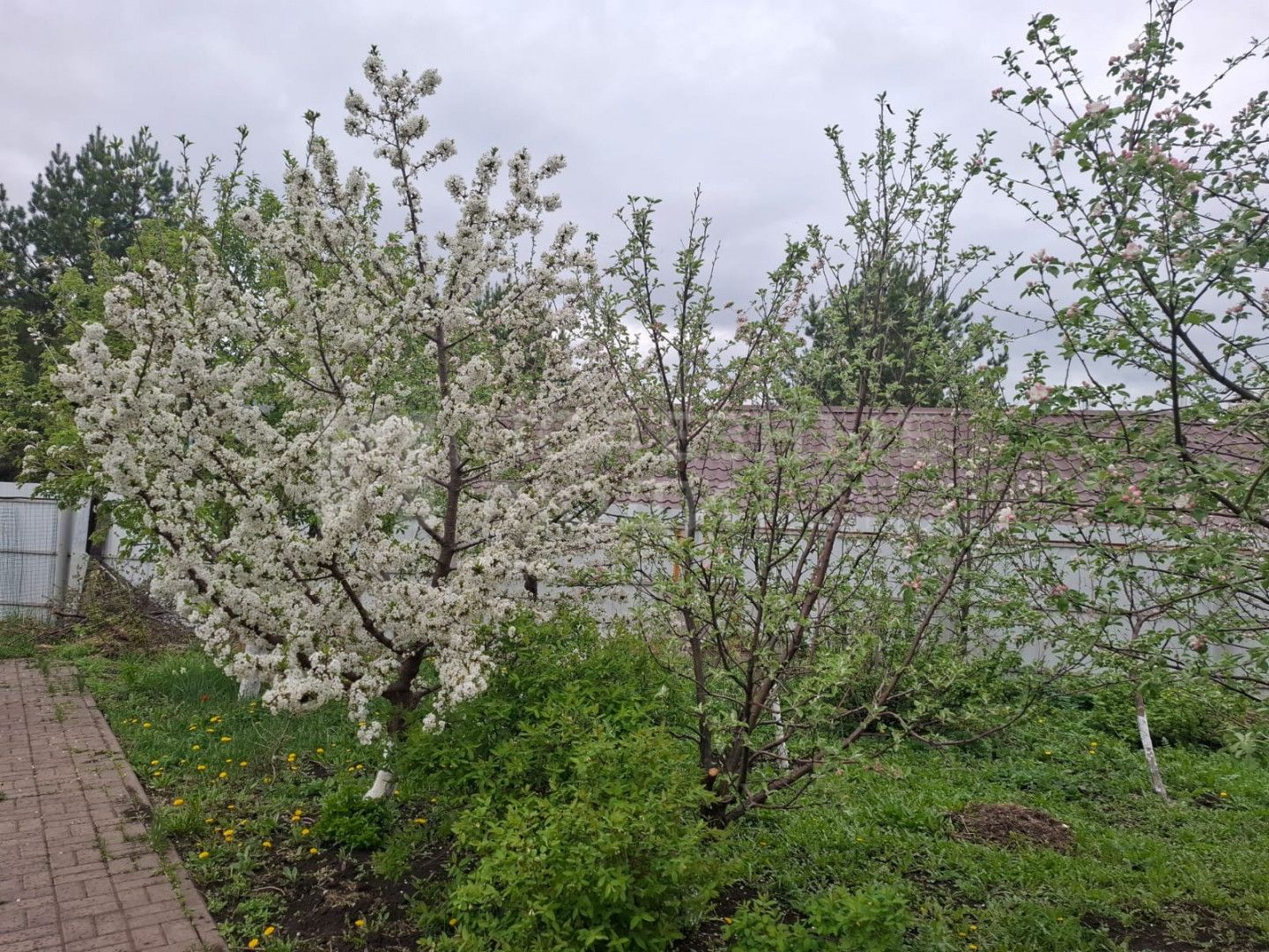 Фото недвижимости