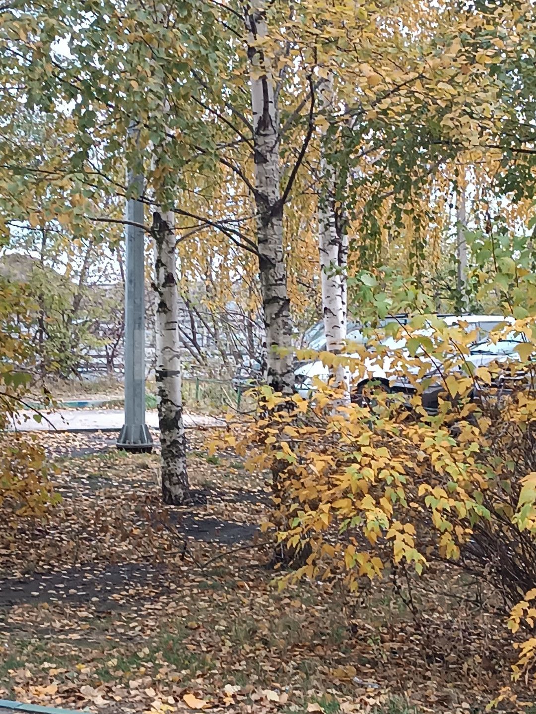 Фото недвижимости