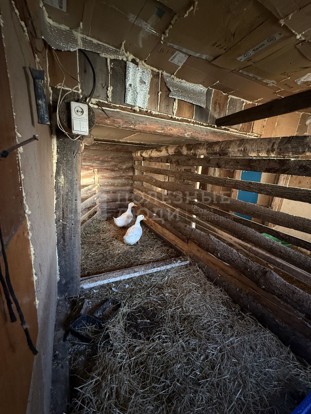 Фото недвижимости