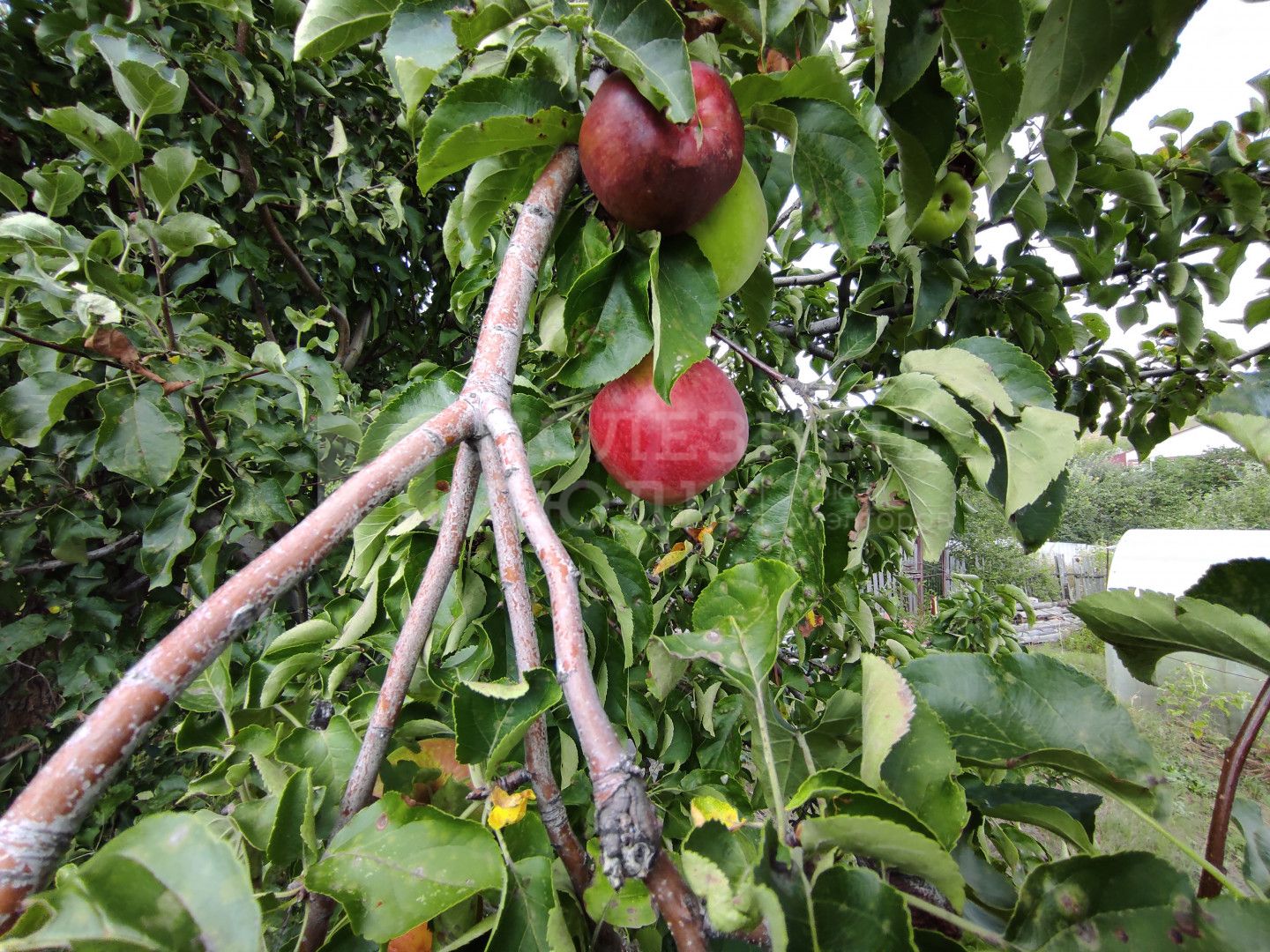 Фото недвижимости