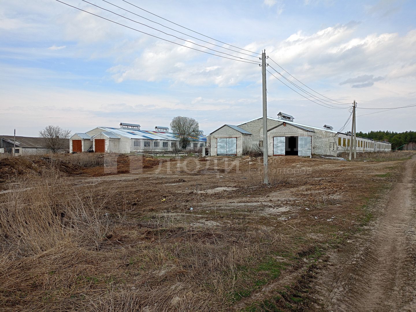Фото недвижимости
